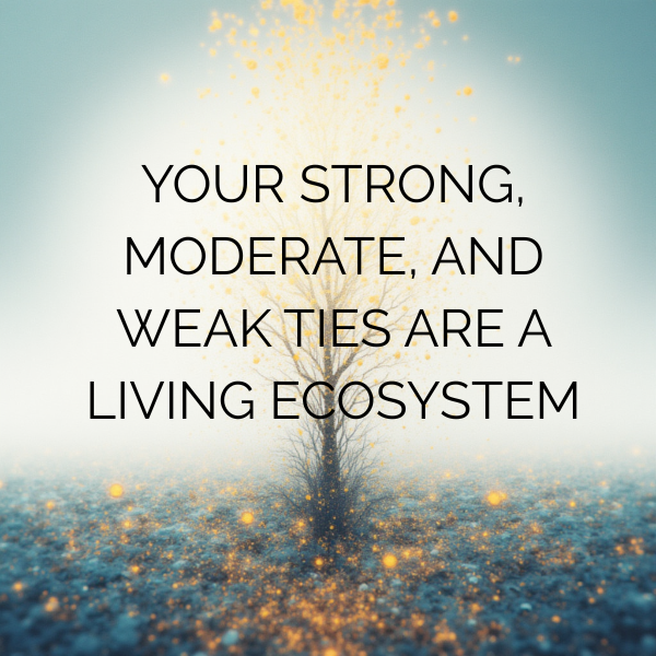 three kinds of social connections