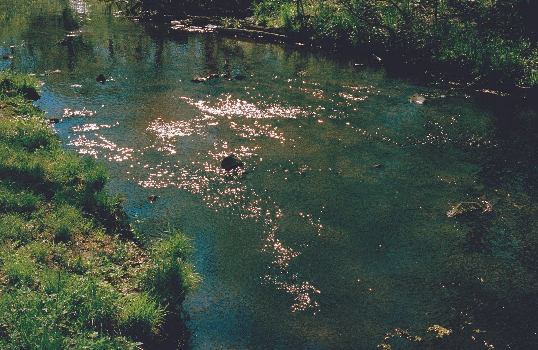 WaterSparkly.jpg