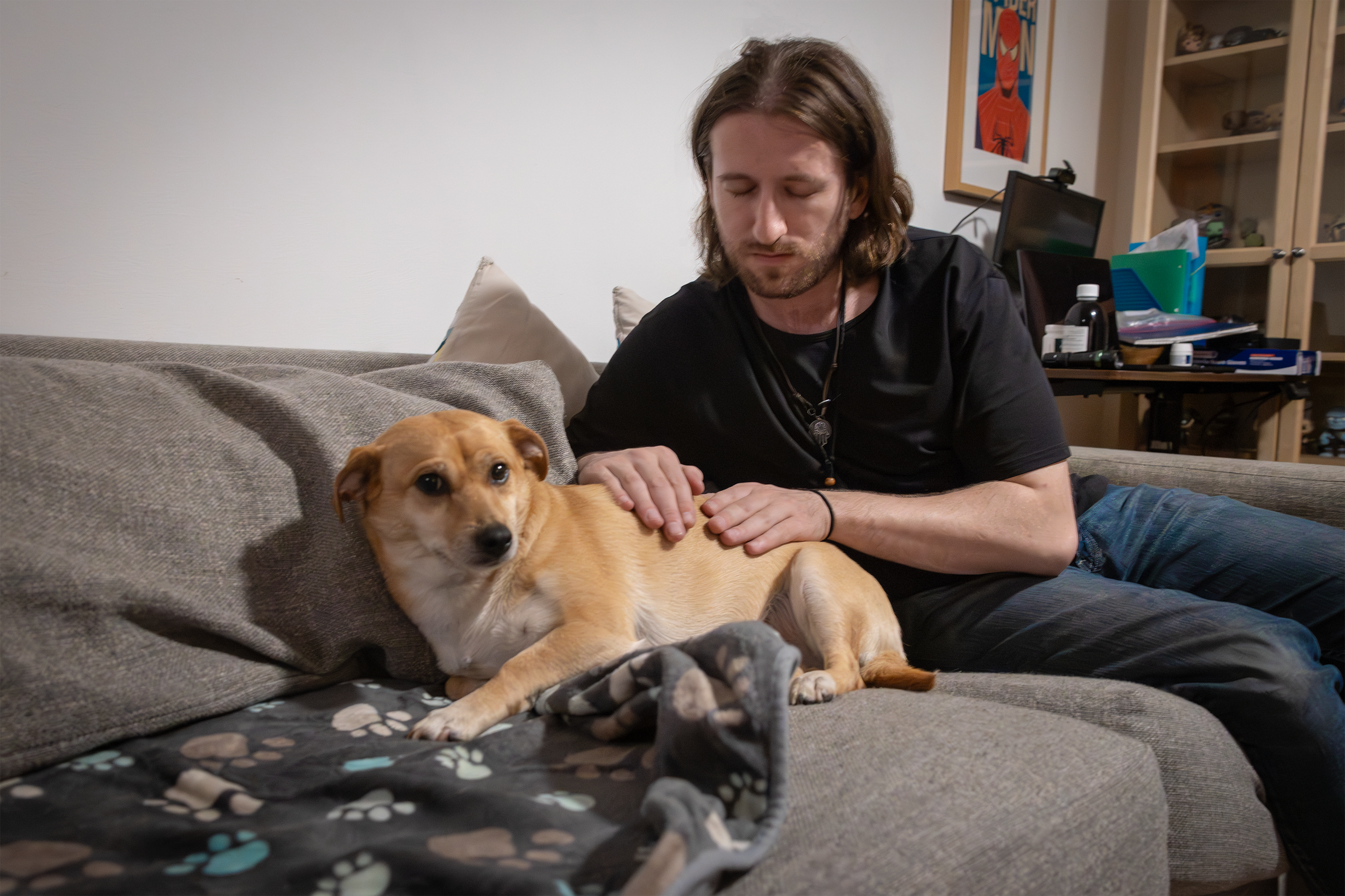 Dog Reiki practitioner in Brooklyn