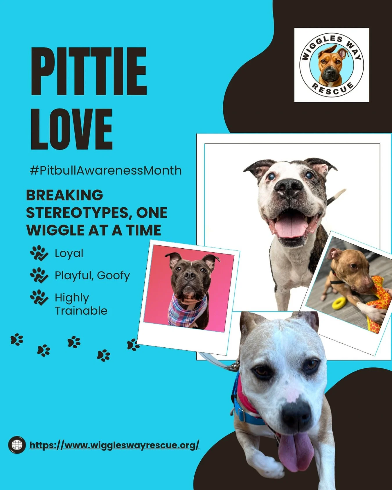 4 More Reasons to Love Pitbulls 💙
 It&rsquo;s #PitbullAwarenessMonth &mdash; and our blocky-headed besties deserve the spotlight!

🐶 Fact 1: They&rsquo;re Incredible Athletes!  Pitbulls are strong, agile, and full of energy &mdash; they excel at ag