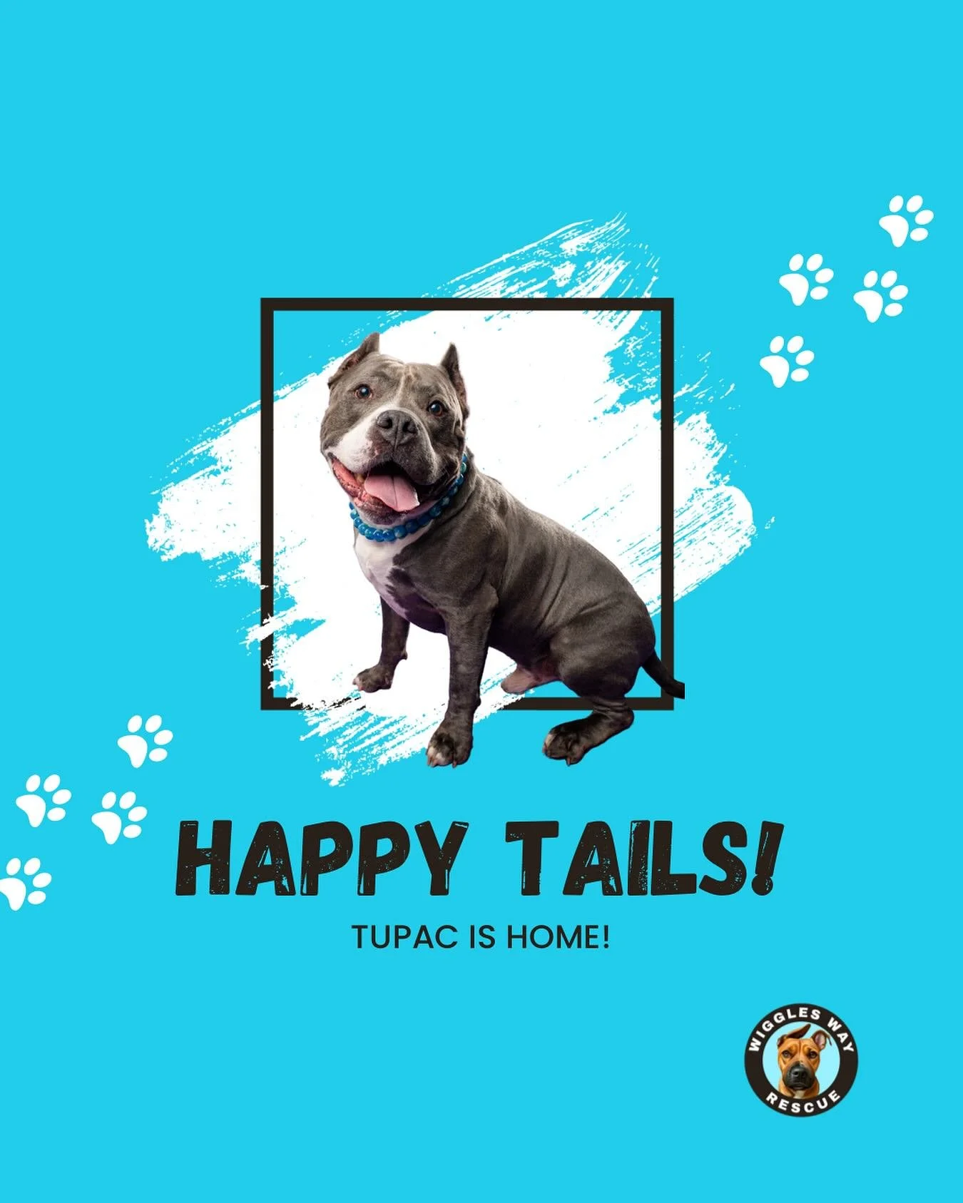 Guess who just dropped his biggest single yet &mdash; &lsquo;Forever Home!&rsquo;&rdquo;

Our boy Tupac has officially been adopted! His new mom saw that he and Biggie had been saved from the PG County shelter, and even though she lives all the way u