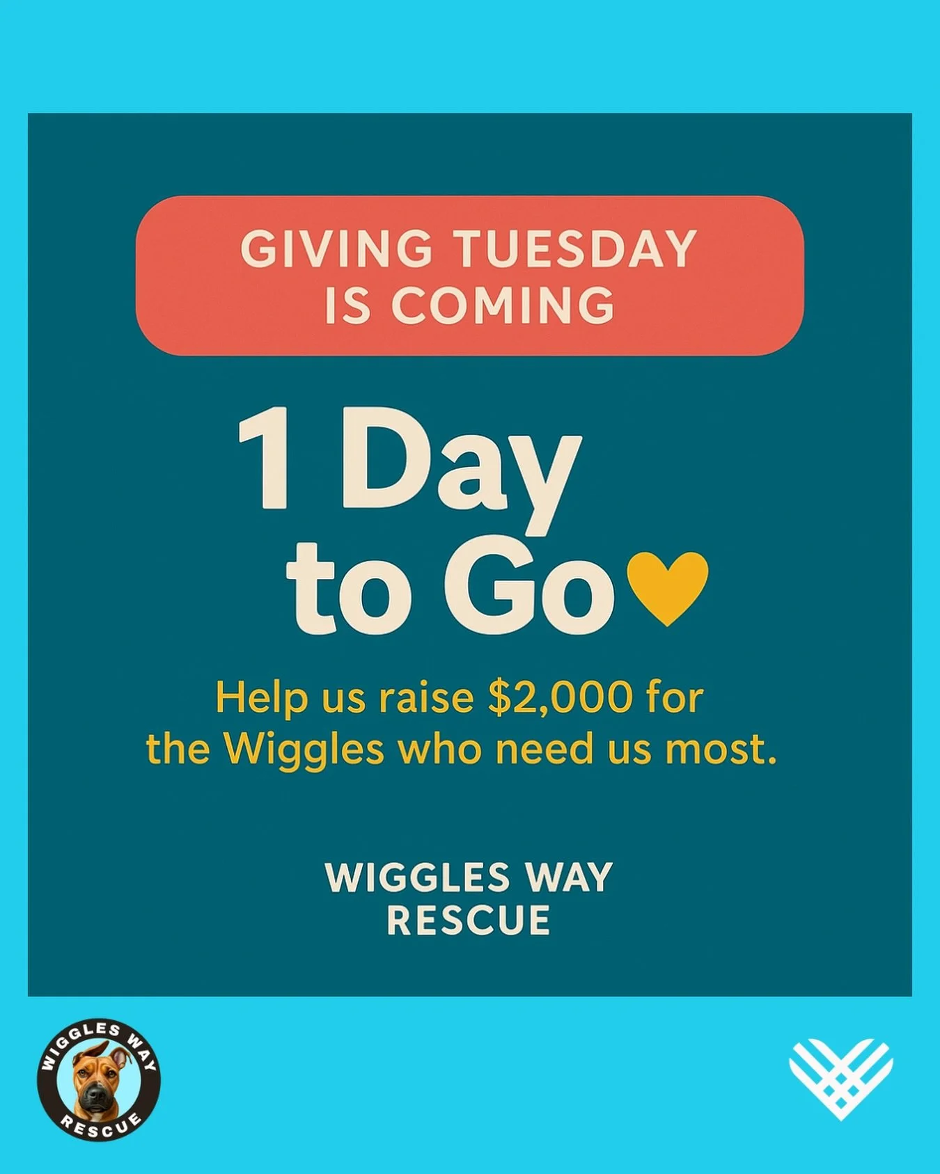 Wiggles family&hellip; tomorrow is the BIG DAY!

Giving Tuesday is almost here, and we are gearing up for a day filled with heart, hope, and lifesaving support for our seniors &amp; underdogs. 🩵🐾

We&rsquo;ve got stories coming, a $15 giveaway, and