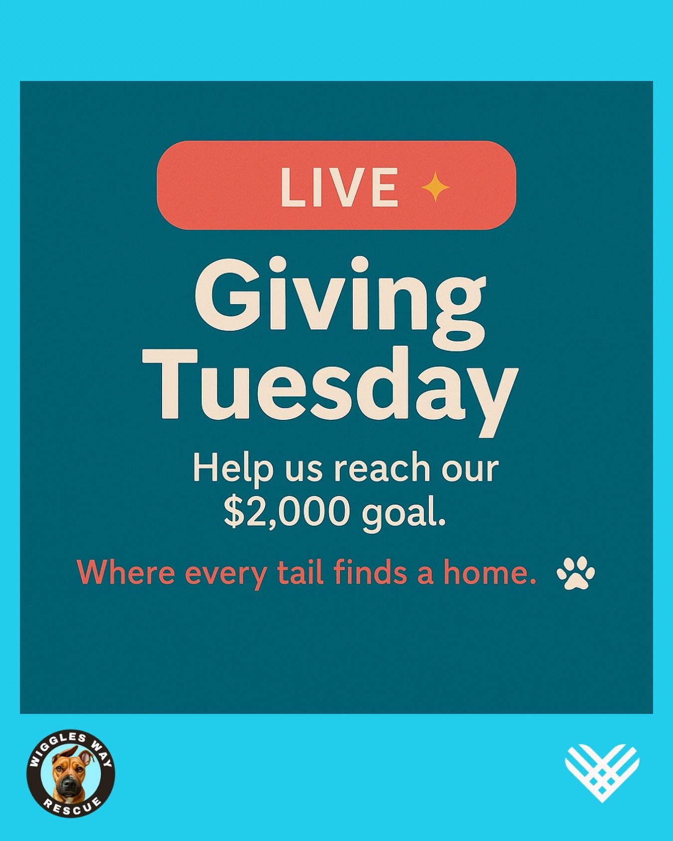 It&rsquo;s officially Giving Tuesday!
Today, we come together to support the seniors and underdogs who need us most &mdash; the Tillys, the Barbaras, and the countless others waiting for love, care, and a soft landing.

This is Wiggles Way Rescue&rsq
