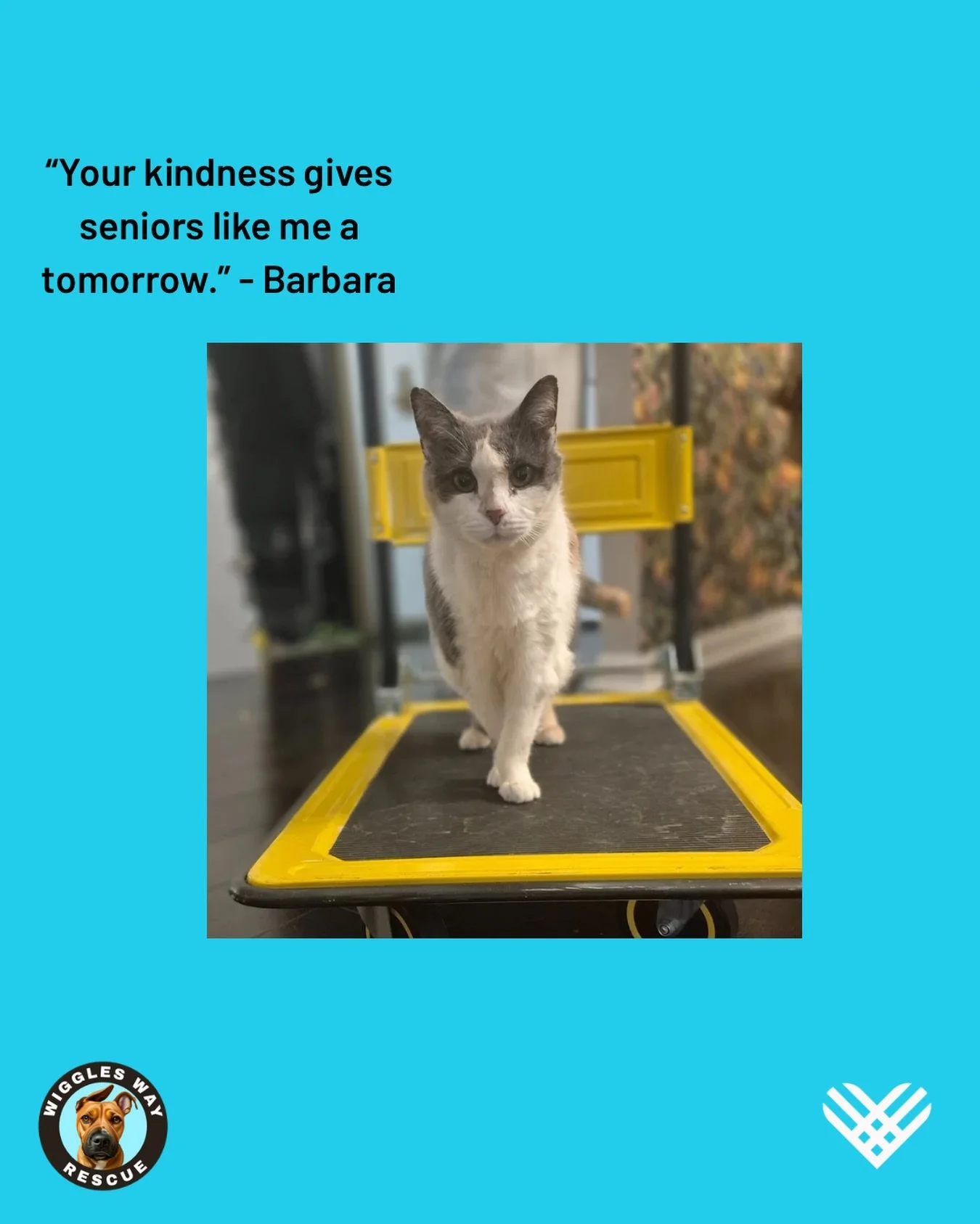 Meet Barbara &mdash; or &ldquo;Barb&rdquo; if you&rsquo;re in her inner circle.
Brains, beauty, charm, and class&hellip; this girl truly has it all.
Well&hellip; almost.
She&rsquo;s still waiting for the one thing she deserves most: a home of her own