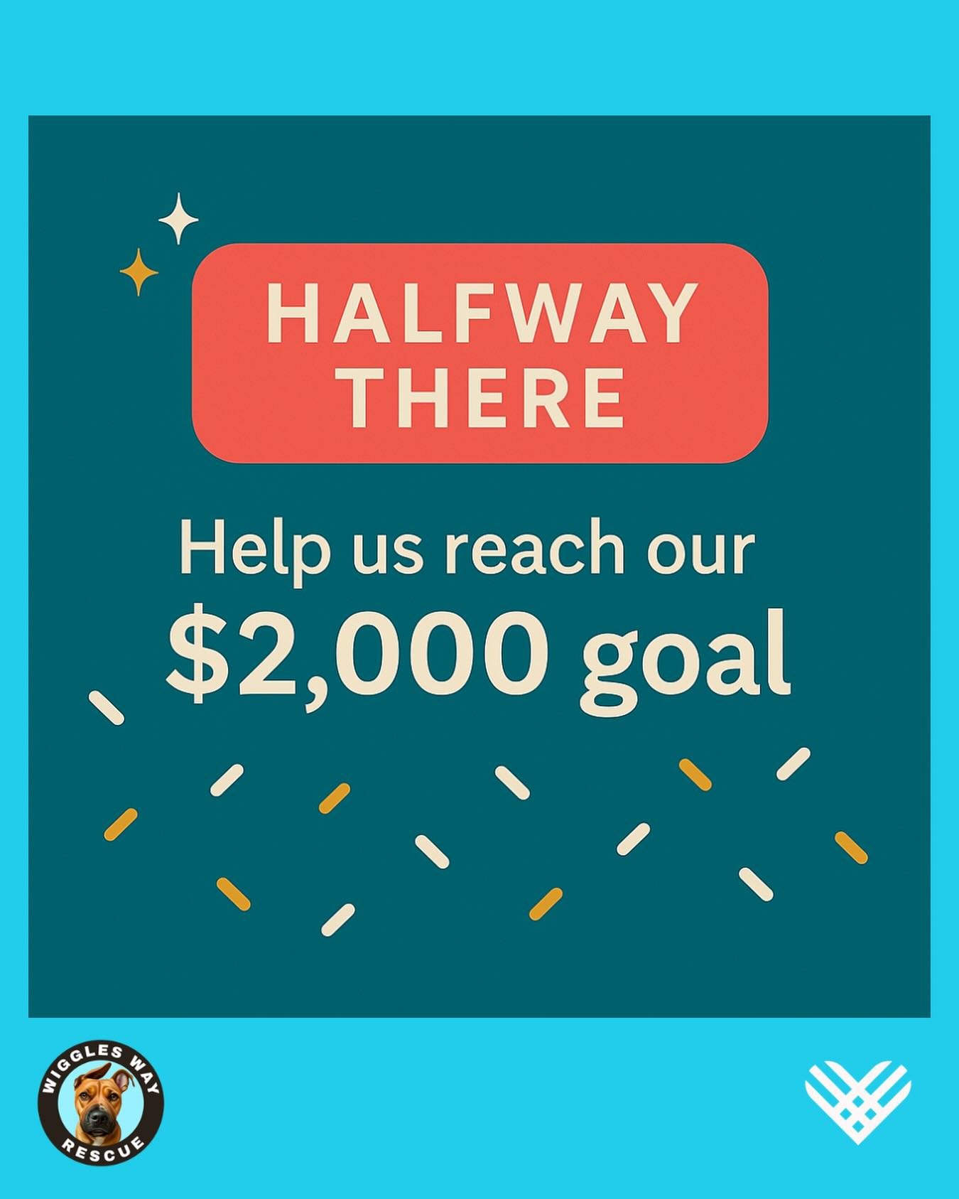 We&rsquo;re halfway there! ❤️🐾

Thanks to your incredible kindness, we&rsquo;ve reached 50% of our Giving Tuesday goal.

Every donation today helps a senior or underdog pet feel safe&hellip; get medical care&hellip; find stability&hellip; and move o