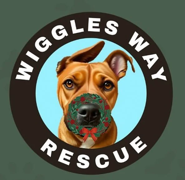 🎄✨ Merry Christmas from Wiggles Way Rescue ✨🎄

From all of us at Wiggles Way Rescue, we wish you a Christmas filled with warmth, love, and a whole lot of wagging tails and happy purrs. 🐾❤️

This year, because of you, so many dogs and cats experien
