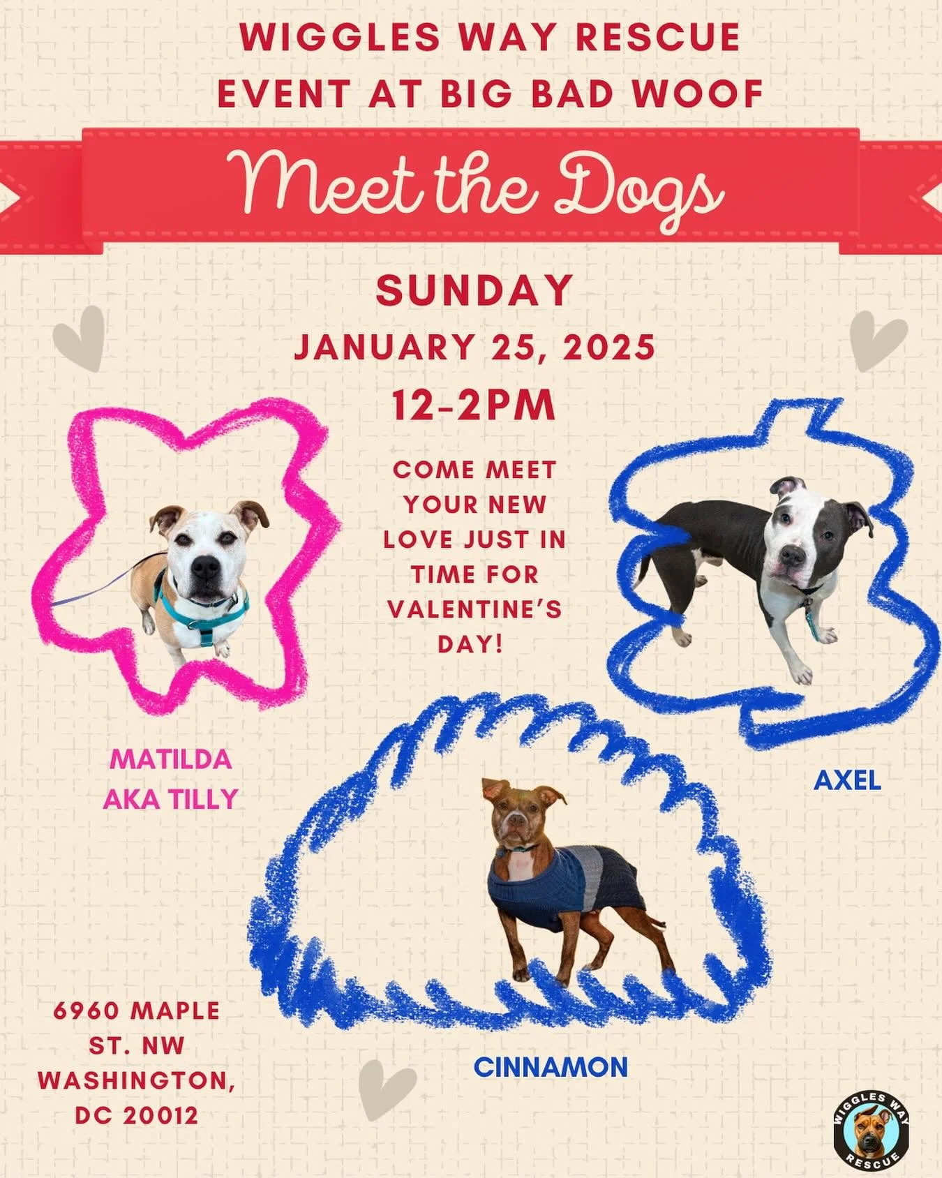 ✨ Something VERY sweet is coming&hellip; ✨

This Saturday, January 25 | 12&ndash;2pm, we&rsquo;re popping up at Big Bad Woof with some extra-special wiggles 🩵

Come meet Cinnamon, Tilly, and Axel &mdash; three lovable pups searching for their foreve