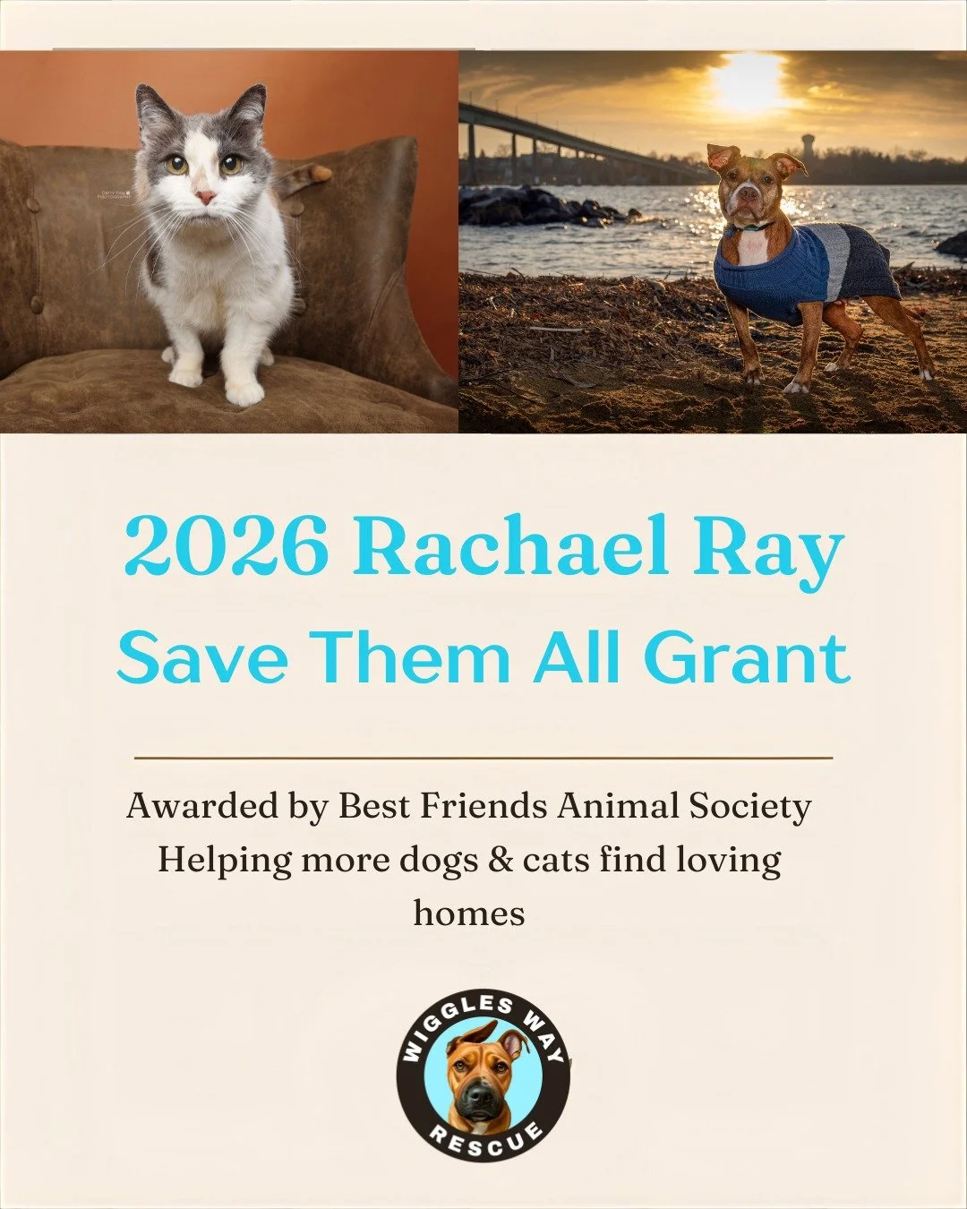 ✨ Big news for our Wiggles! ✨

We&rsquo;re beyond excited to share that Wiggles Way Rescue has been awarded a 2026 Rachael Ray Save Them All Grant from Best Friends Animal Society!

This incredible support helps us continue doing what we love most&md