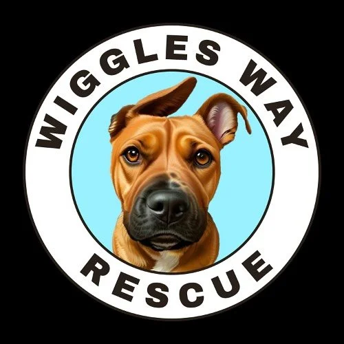 What&rsquo;s happening in the world doesn&rsquo;t stop at humans.

When families are pushed to the brink, the dogs and cats they love are affected too&hellip;.surrendered, abandoned, or forgotten.

That&rsquo;s why Wiggles Way Rescue will always use 