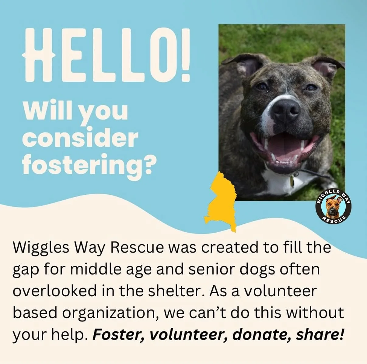 🎉 WOOHOO, PRINCE GEORGE&rsquo;S COUNTY! 🎉

This week is a big one for dogs, for people, and for progress. With the PG County breed ban officially lifted, we&rsquo;re celebrating a future rooted in education, accountability, and compassion&mdash;not