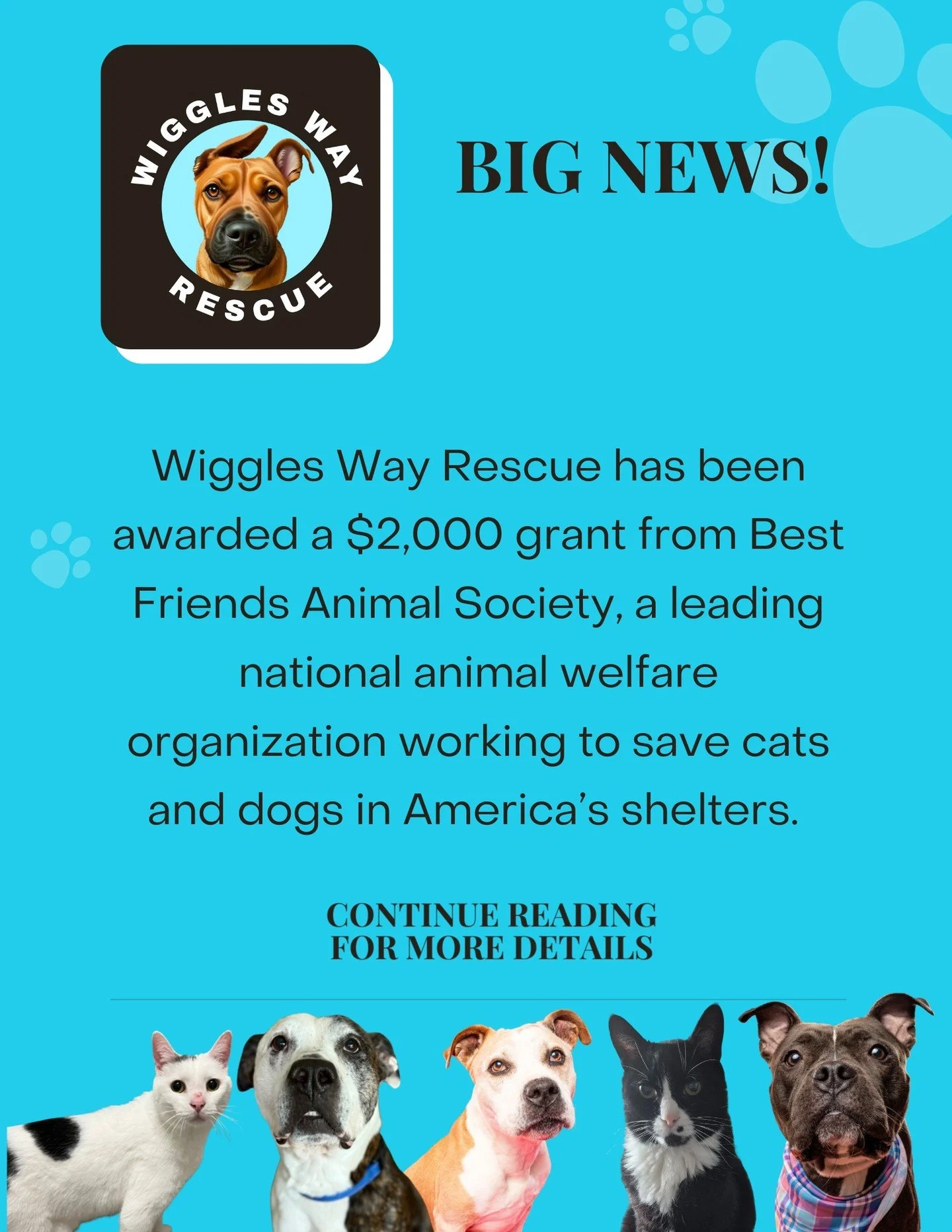 Big love, big news 🥹🩵

We&rsquo;re so honored to share that Wiggles Way Rescue has been awarded a $2,000 grant from Best Friends Animal Society after successfully completing the Bring Love Home Challenge!

Thanks to this nationwide effort (and you)