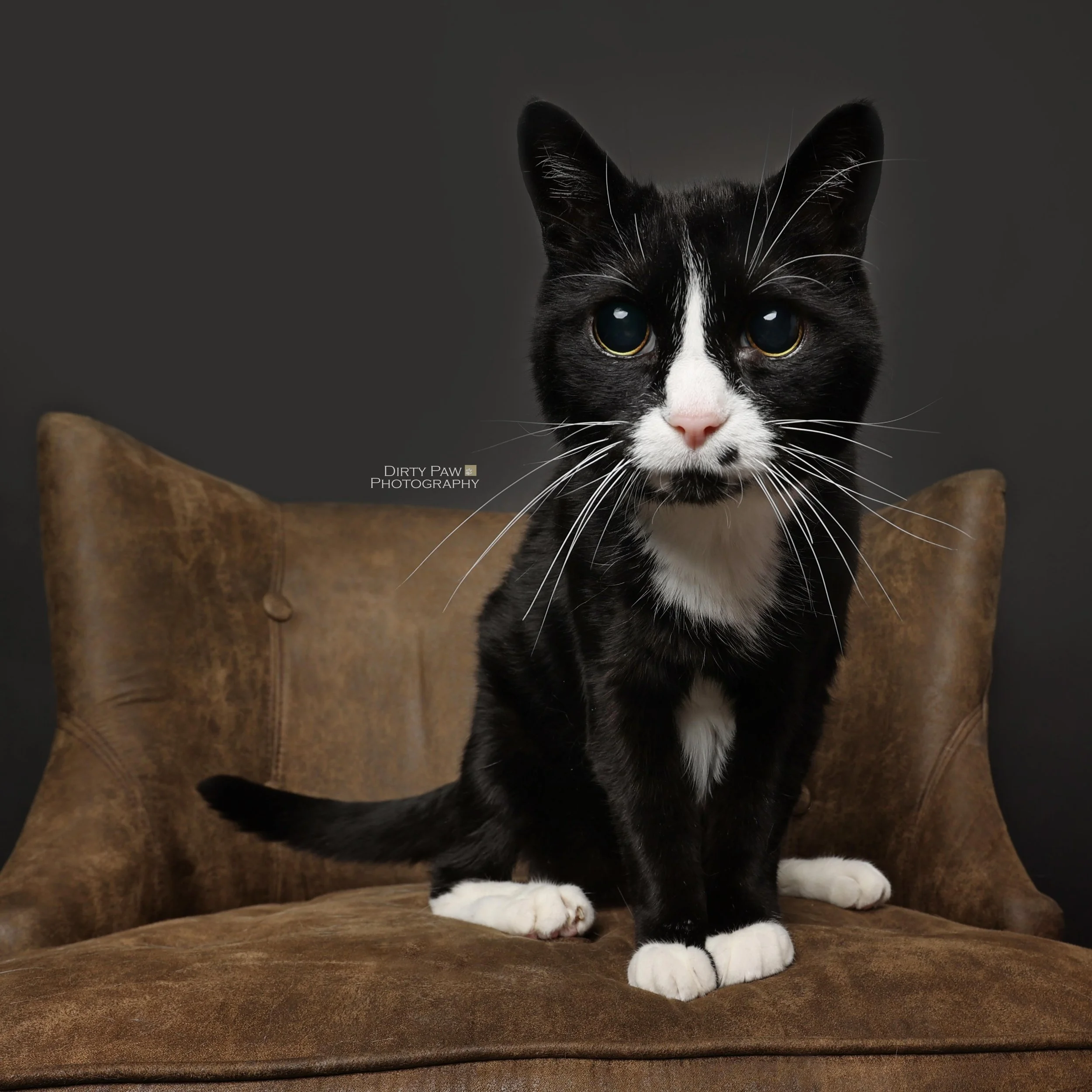 Let&rsquo;s help George get all the care he needs to live his best senior life!