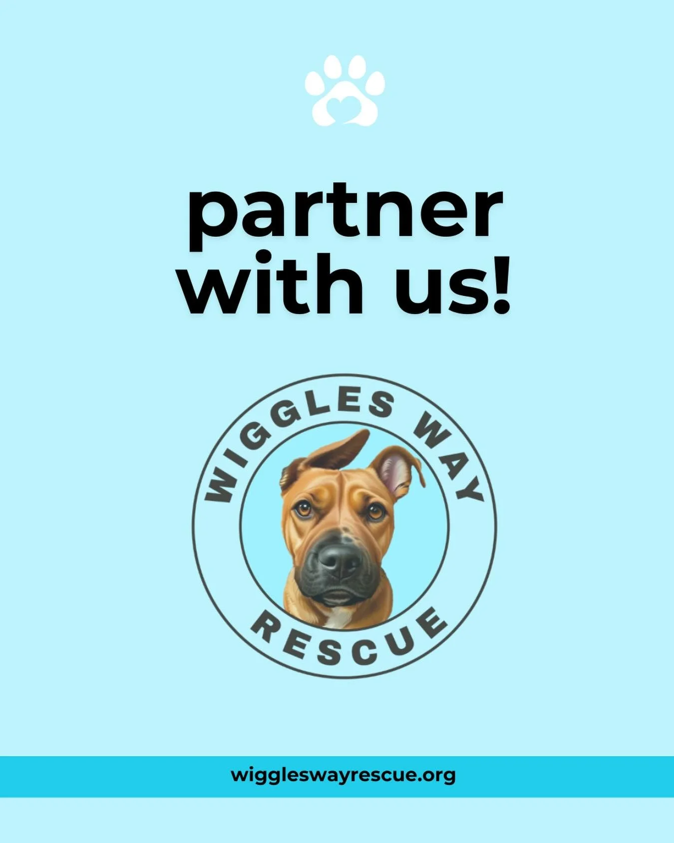 We&rsquo;re Growing Our Pack &mdash; Local Businesses, Let&rsquo;s Partner!

First, we are SO excited about our new grooming partnership with BarkSuds &mdash; and we&rsquo;re just getting started.

At Wiggles Way Rescue, we believe rescue is a commun