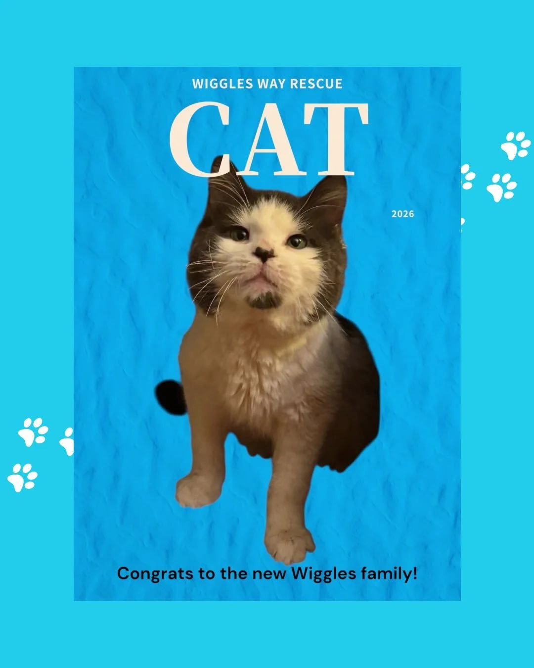 DOUBLE ADOPTION ALERT 

Two totally different personalities.
Two perfectly matched families.
One very happy rescue.

👑 Grant came in with opinions, boundaries, and undeniable main-character energy. The sass? Impeccable. The side-eye? Elite. And his 