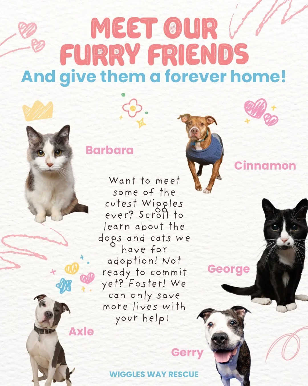 Right now, our rescue family is full of incredible cats and dogs who are patiently waiting for the moment their forever people find them.

Some have been waiting a little longer &mdash; like Gerry, who has been the sweetest, snuggliest gentleman whil