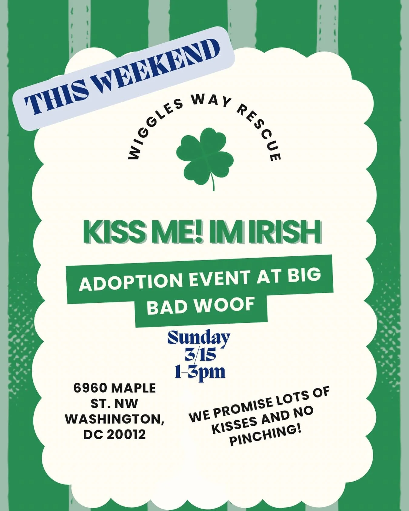 This weekend!!! ☘️☘️ Wiggles Way Rescue is bringing some adorable pups to Big Bad Woof for a Kiss Me, I&rsquo;m Irish adoption event. And trust us&hellip; these dogs are pure gold at the end of the rainbow. ☘️🌈☘️🐾

📅 Sunday, March 15
⏰ 1&ndash;3 P