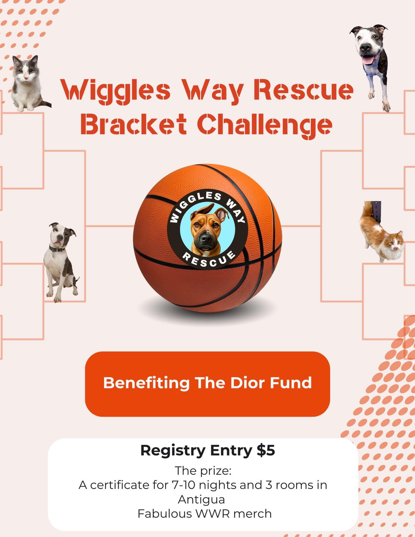 🏀🐾 March Madness&hellip; but make it WIGGLY.

The tournament is almost here and Wiggles Way Rescue is launching our first-ever WWR Bracket Challenge! Think basketball, friendly trash talk, and a whole lot of wiggles!

How it works:
&bull; $5 per br