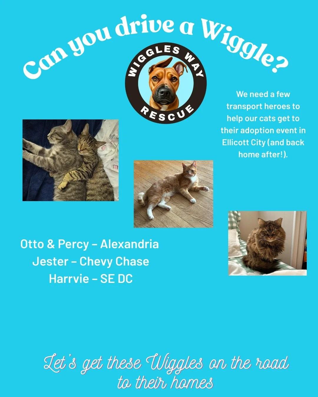 🚗 WWR TRANSPORT NEEDS! SATURDAY SATUDAY SATURDAY

🐱 Adoption Event Transport (Saturday &ndash; Ellicott City)

📍 Location: My Pet Store &amp; More (Ellicott City, MD)
⏰ Arrival Window: 12:30&ndash;12:45 PM
🚗 ALSO NEED: Return rides after event (e