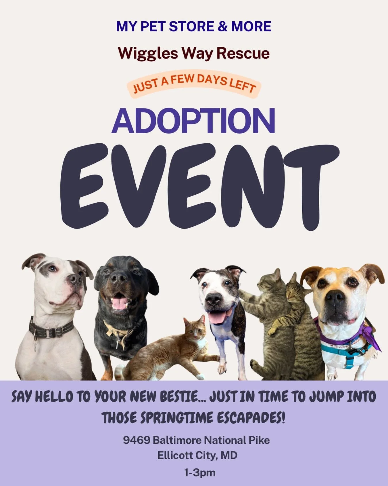 Come Meet Your New Best Friend This Saturday! 

Looking for weekend plans? We&rsquo;ve got the cutest one for you 🩵

Join us this Saturday from 1&ndash;3 PM at My Pet Store &amp; More (Ellicott City) to meet some of our adorable, adoptable Wiggles w