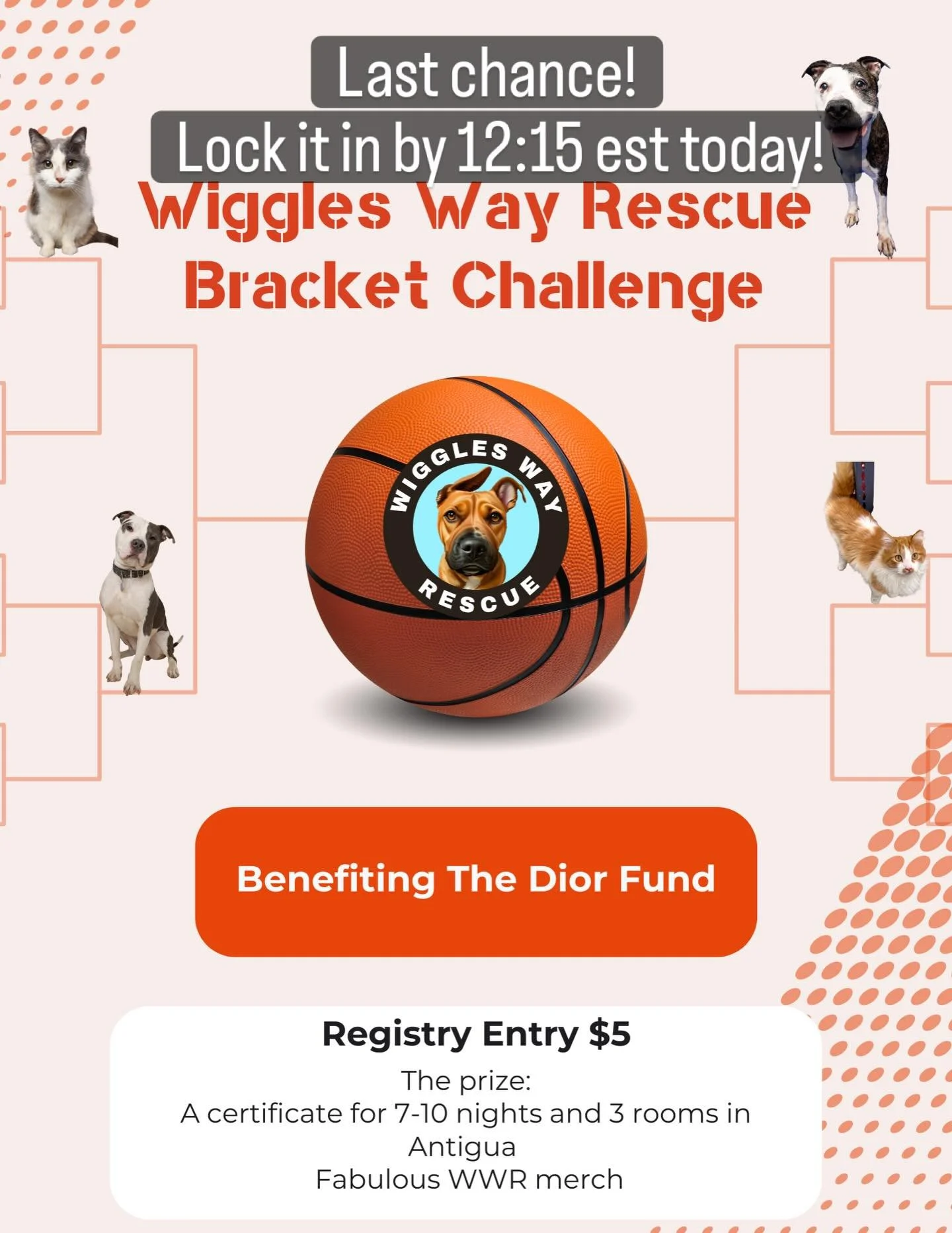 ⏰🏀 Last call, Wiggle fam! Time to lock it in! 🐾

March Madness is HERE and this is your final shot &mdash; lock in your bracket by 12:15 TODAY!

For just $5, you&rsquo;re in the running for:
🏝️ 10 nights / 3 rooms in Antigua
🎉 Wiggles Way Rescue 
