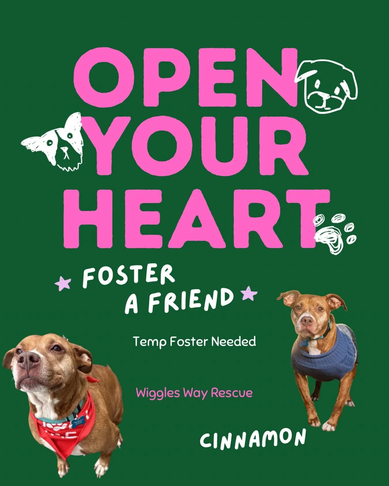 Got a few days and a little extra love to give? Cinnamon is looking for a short-term foster from April 2&ndash;6 and it&rsquo;s the perfect way to dip your toes into fostering. 🩵

This is what we call a &ldquo;try it out&rdquo; foster&hellip;low com