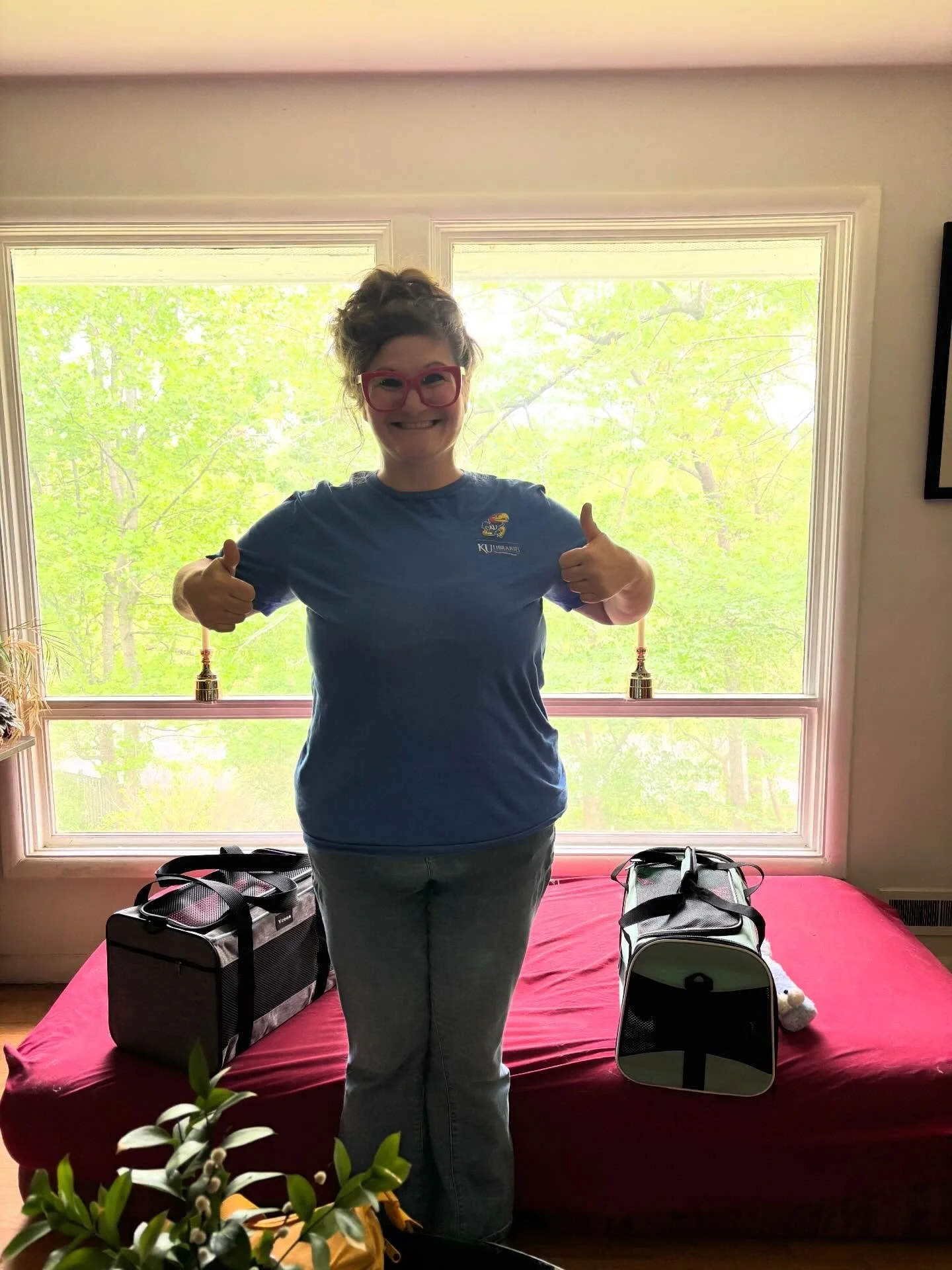 What&rsquo;s better than adopting one cat? Adopting TWO 🐾🐾

Recently, Pickles and Storm hit the absolute jackpot and headed off to their forever home! Their new parents are ready to spoil them endlessly and shower them with all the love they deserv