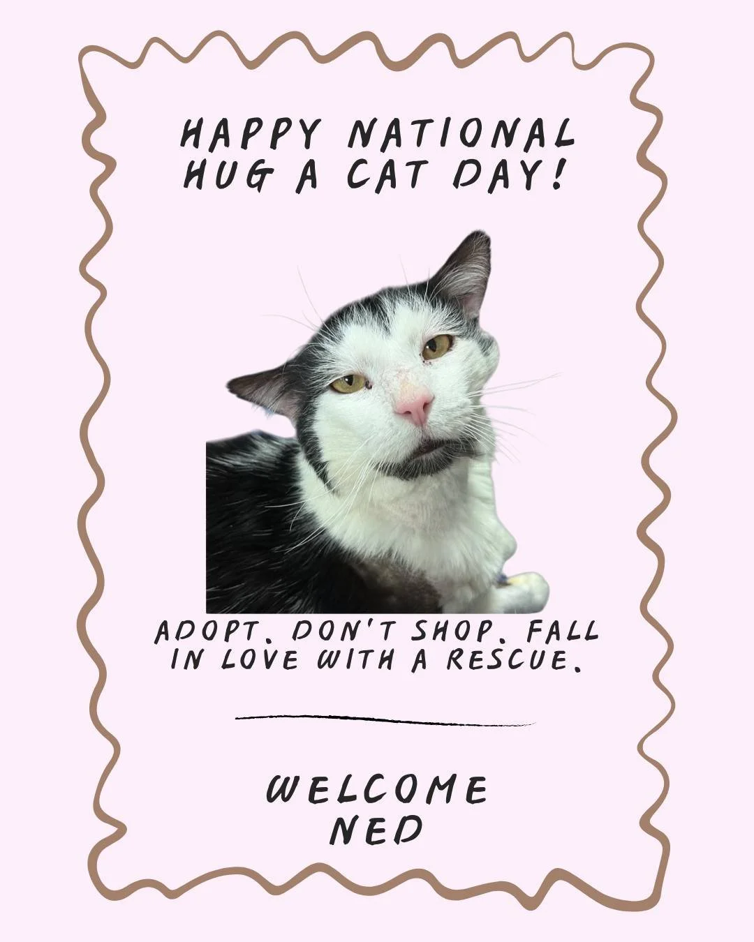 🐾Happy National Hug Your Cat Day! 🐾

Today is all about celebrating the cats who fill our homes with purrs, personality, and unconditional love. Whether your cat is a professional cuddler or prefers to admire you from across the room, give them a l