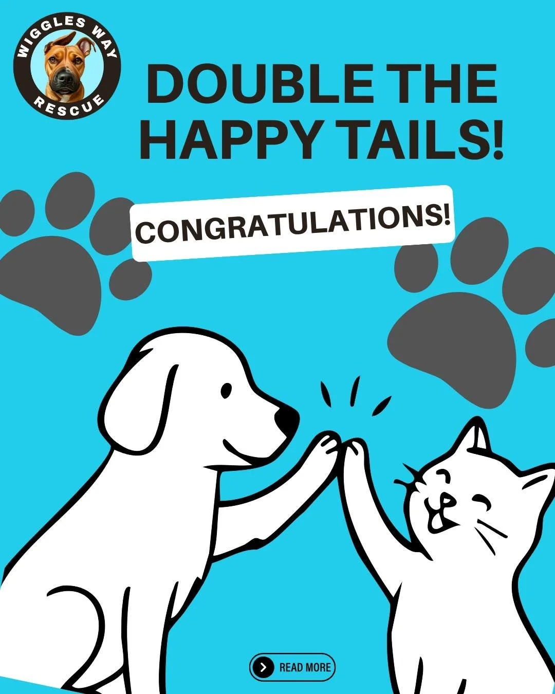 DOUBLE THE HAPPY TAILS! 🎉

Today, we're celebrating not one, but TWO forever homes! ❤️

Congratulations to sweet Coco and adorable Honey on finding the families they were always meant to have. Watching rescue animals leave for their next chapter nev