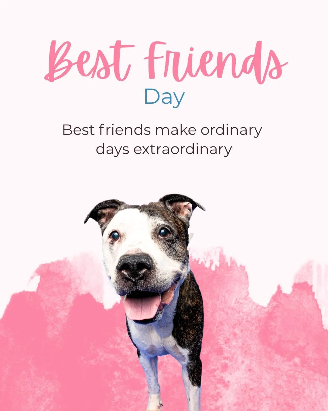 🐾 Best Friends Come in All Shapes, Sizes, and Species 🐾

Pets are the original best friends &mdash; always there with a wagging tail, a comforting purr, or a goofy smile when you need them most.

At Wiggles Way Rescue, we are lucky to know some tru