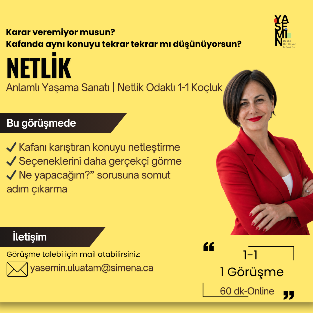 netlik.png