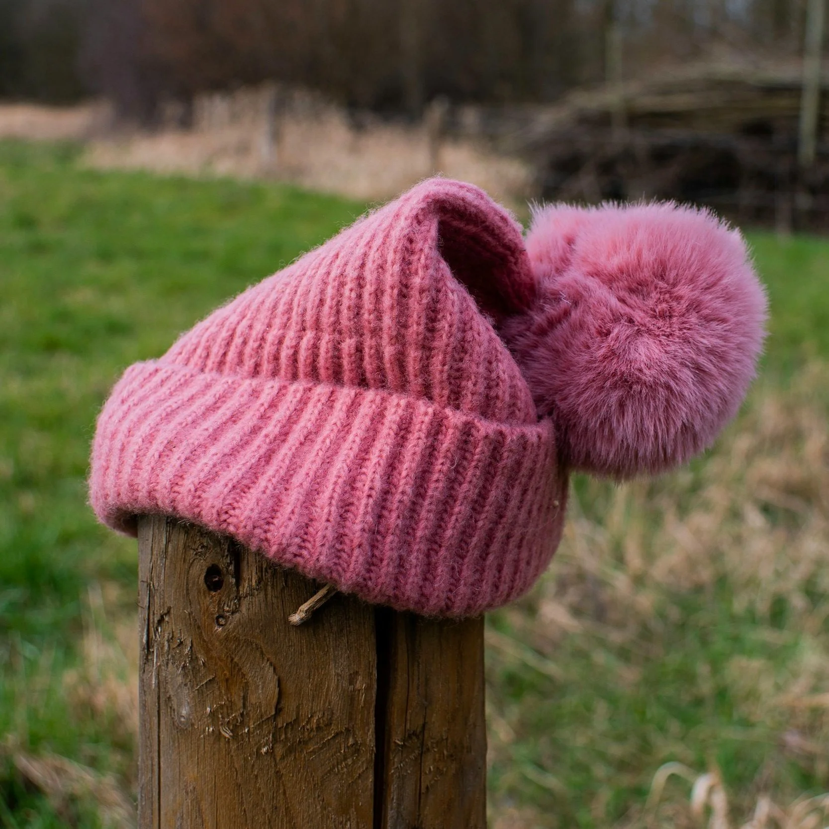 February Shoebox Needs