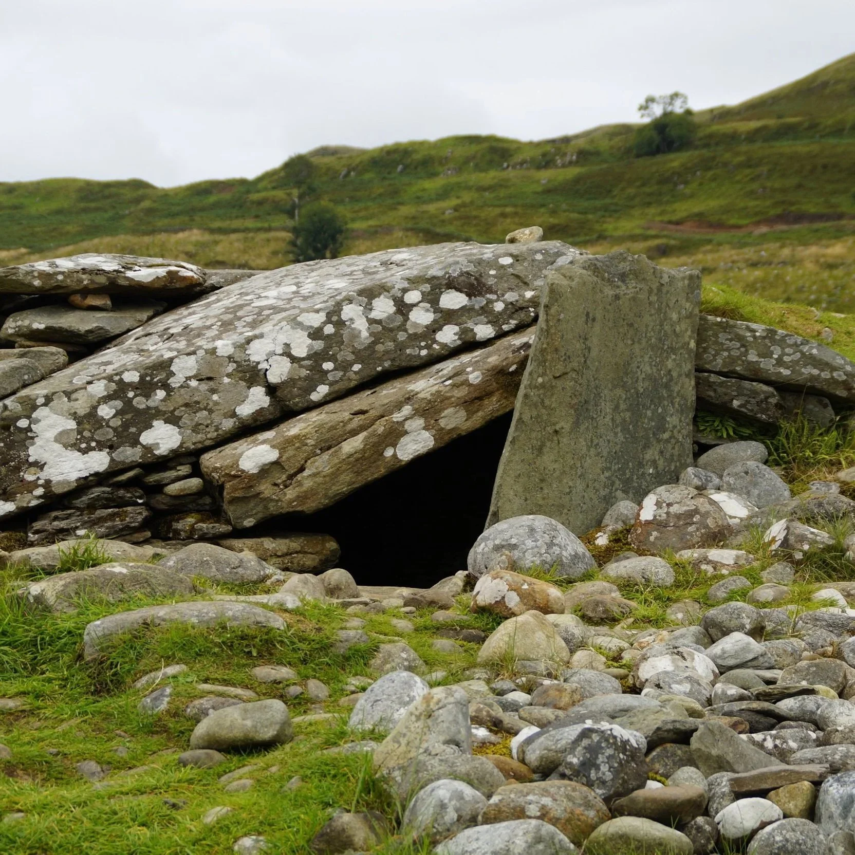 Can These Bones Live?