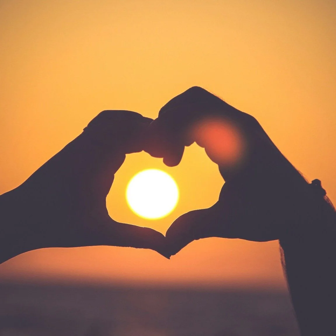 Giving Options for the Johnson Families