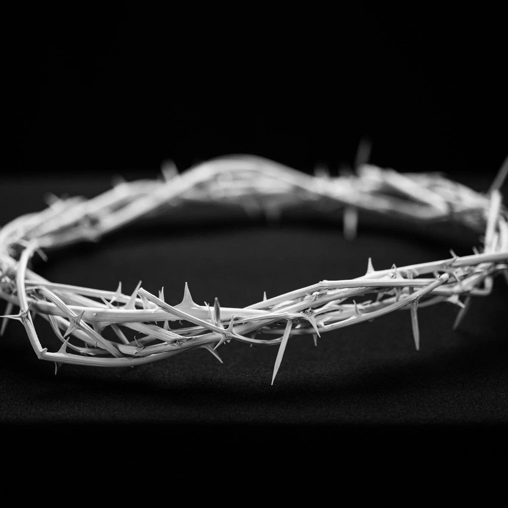 Hosanna to the True King!