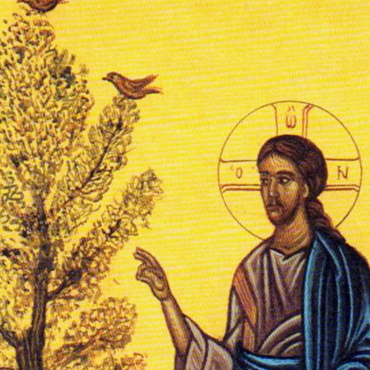 Ninth Sunday after Pentecost
