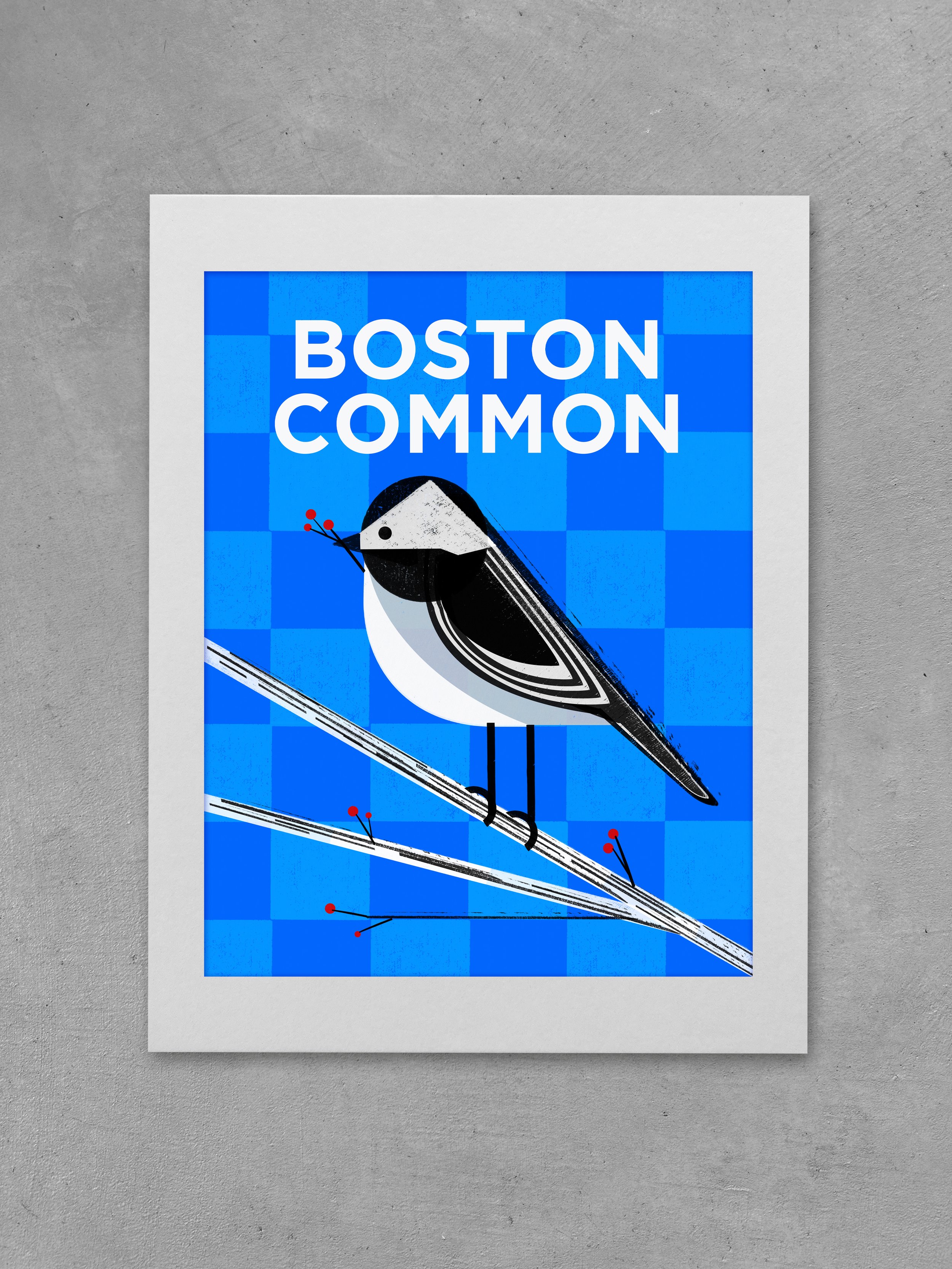 Chickadee - Boston