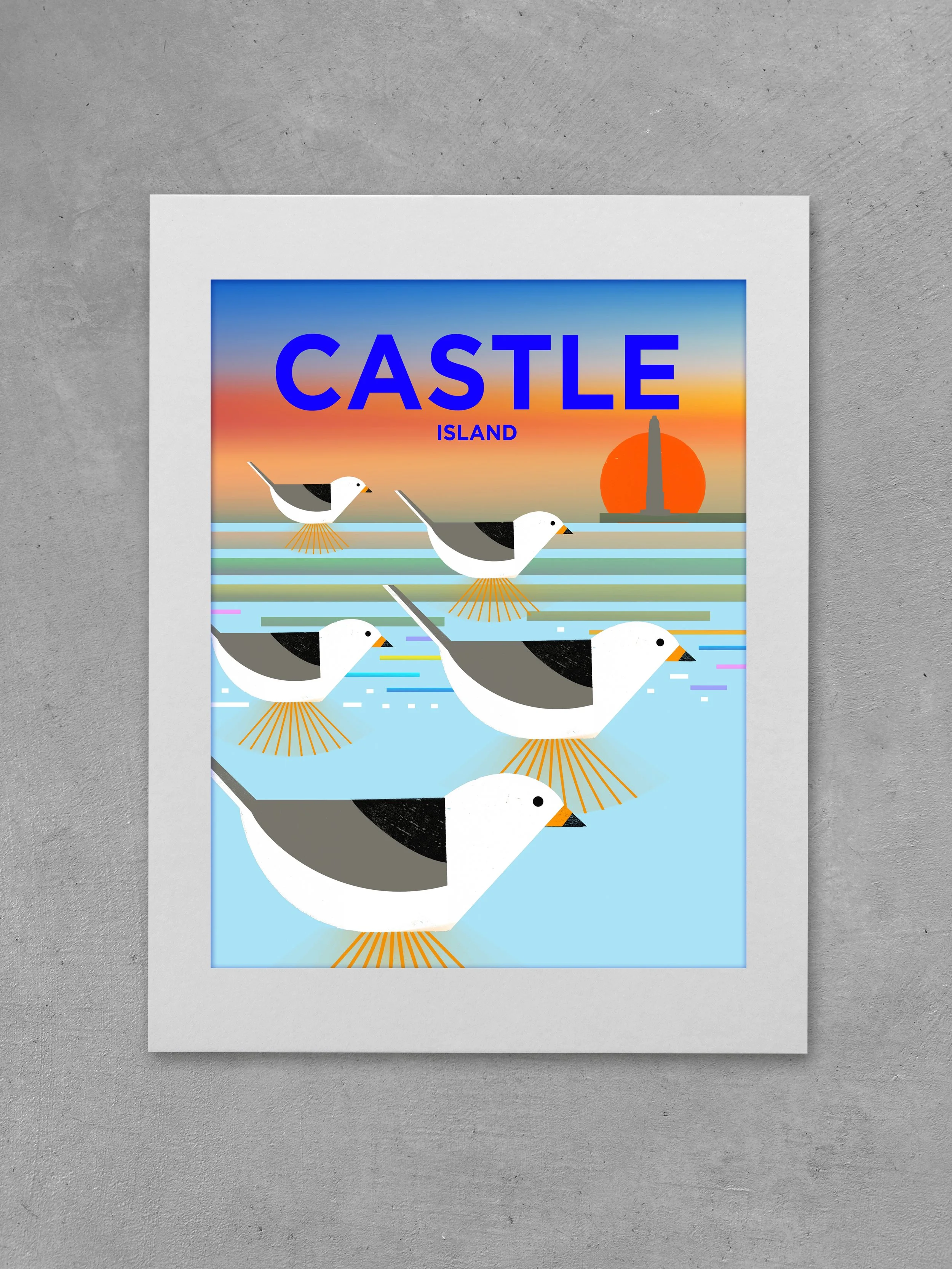 Plovers - Castle Island