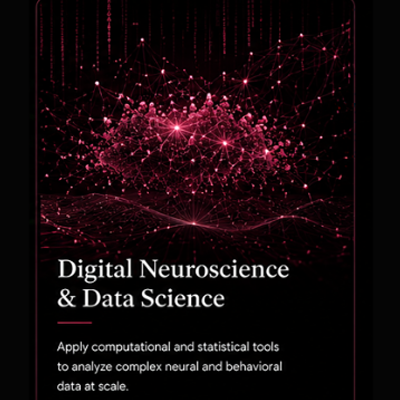 Digital Neuro.png
