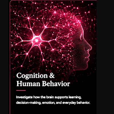 cognition.png
