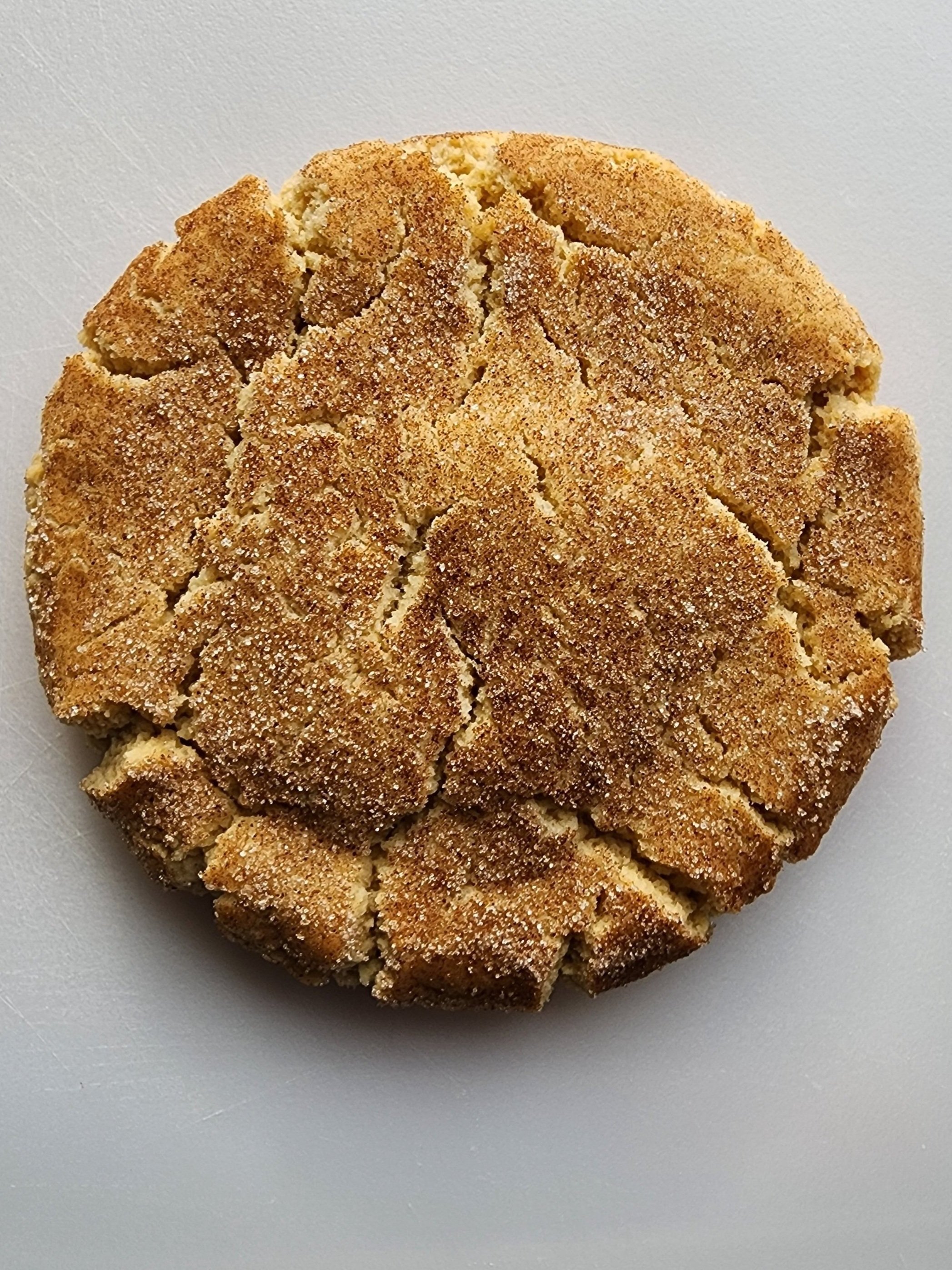 snickerdoodle.jpg