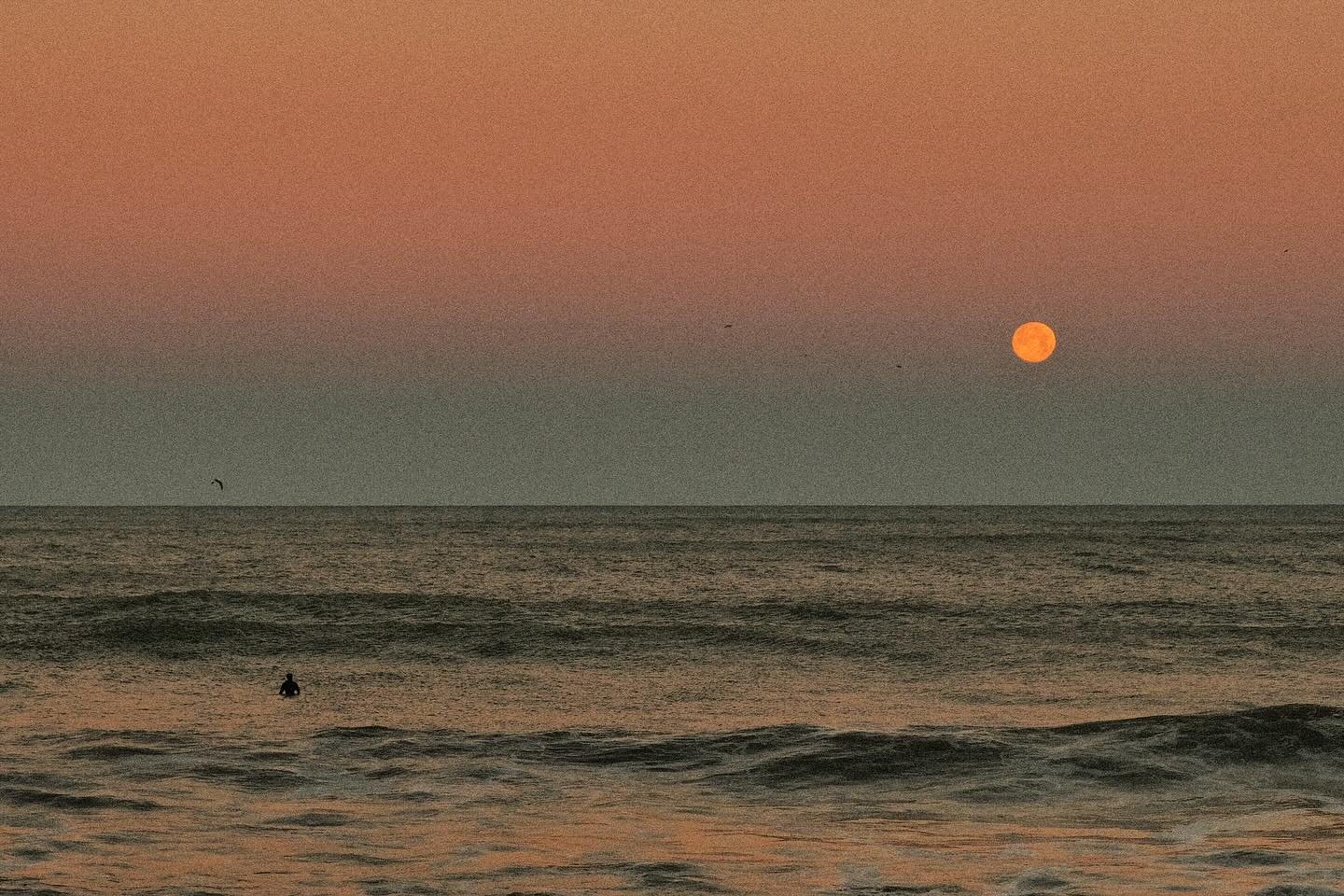 This kid is always the first one in the water. He gets to the break well before sunrise and watches the whitecaps in the dark. He&rsquo;s become a dependable litmus test&mdash;if he&rsquo;s in the water, there a wave.