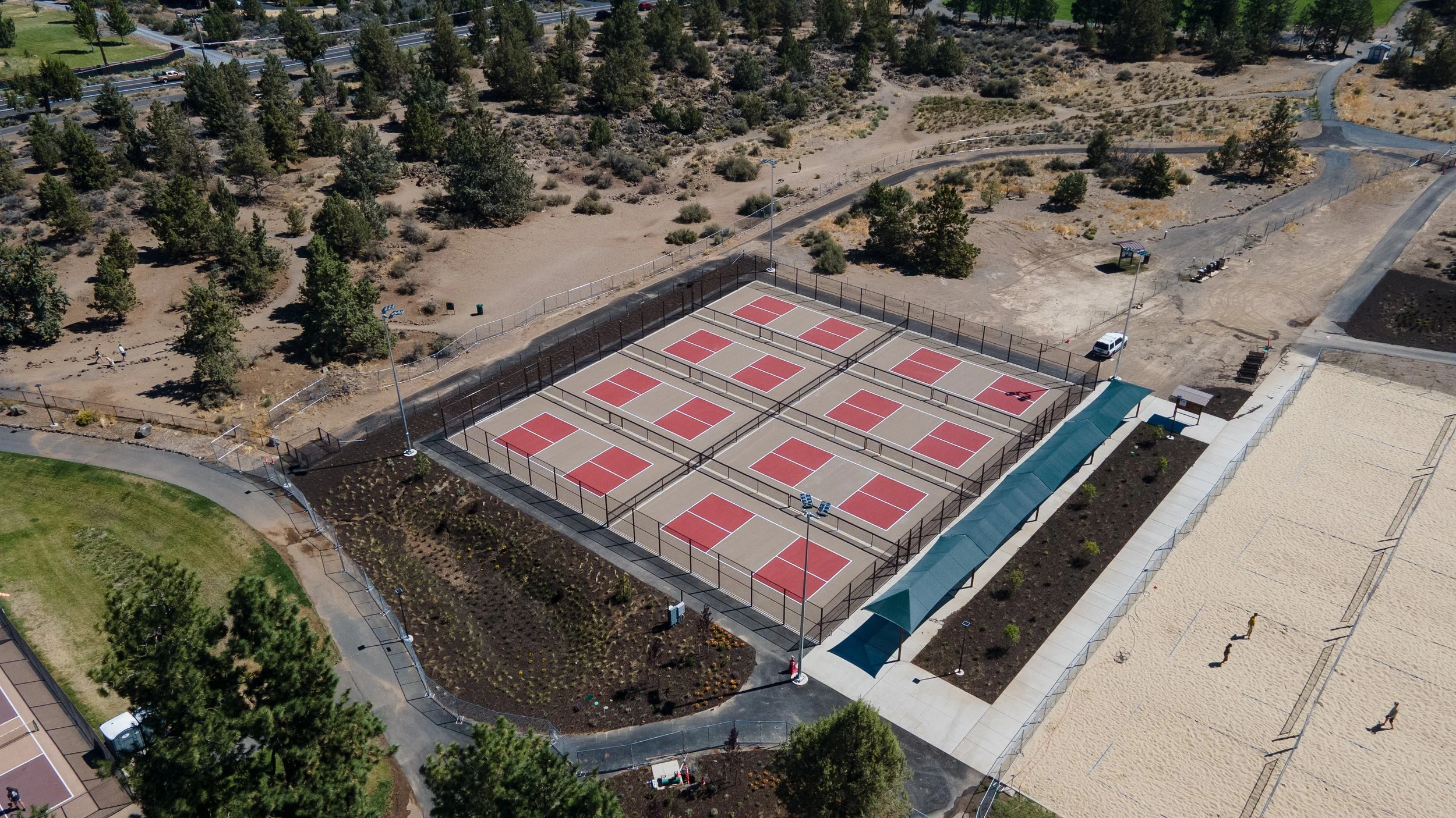 pine-nursery-12.jpg