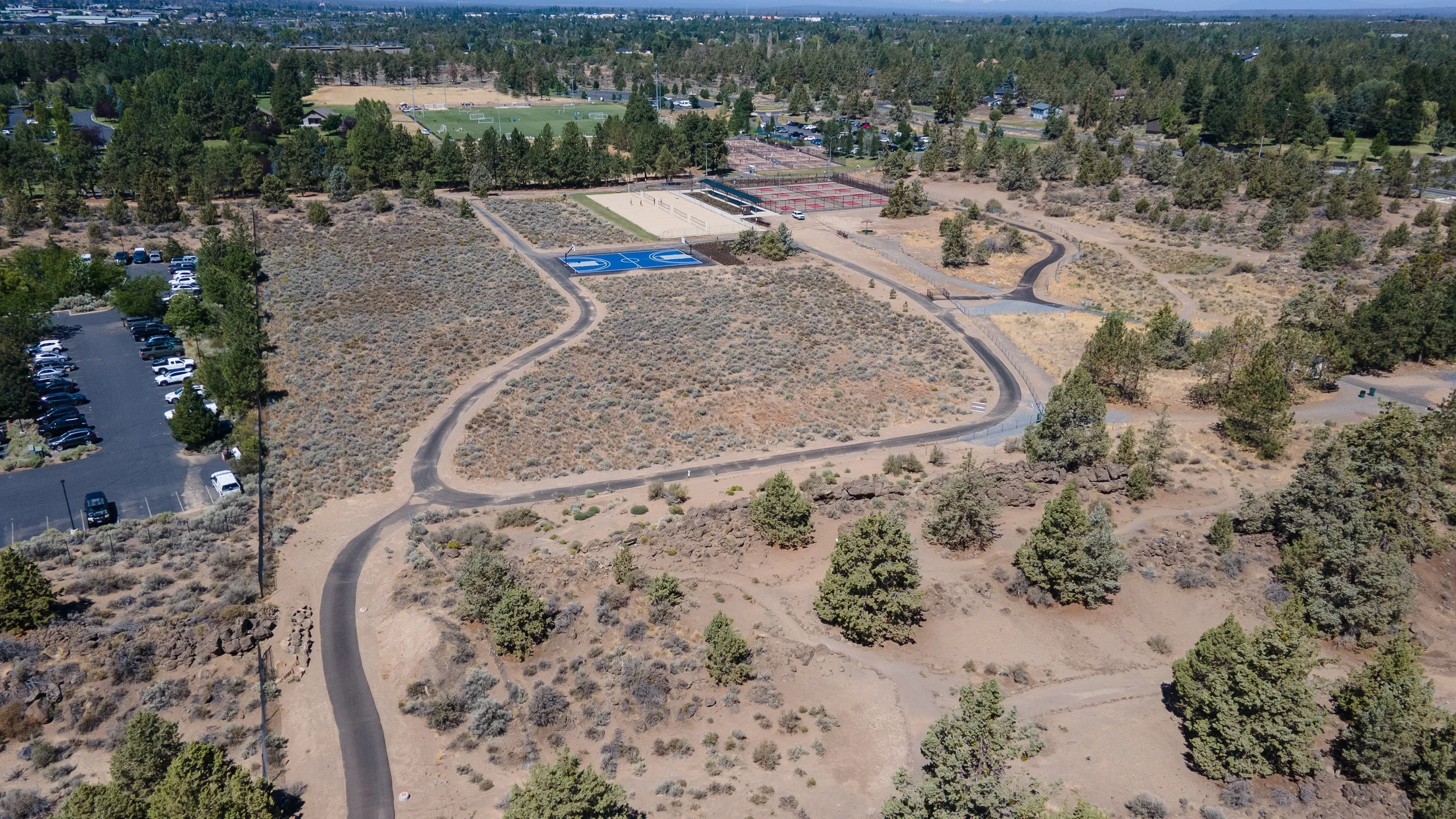 pine-nursery-29.jpg