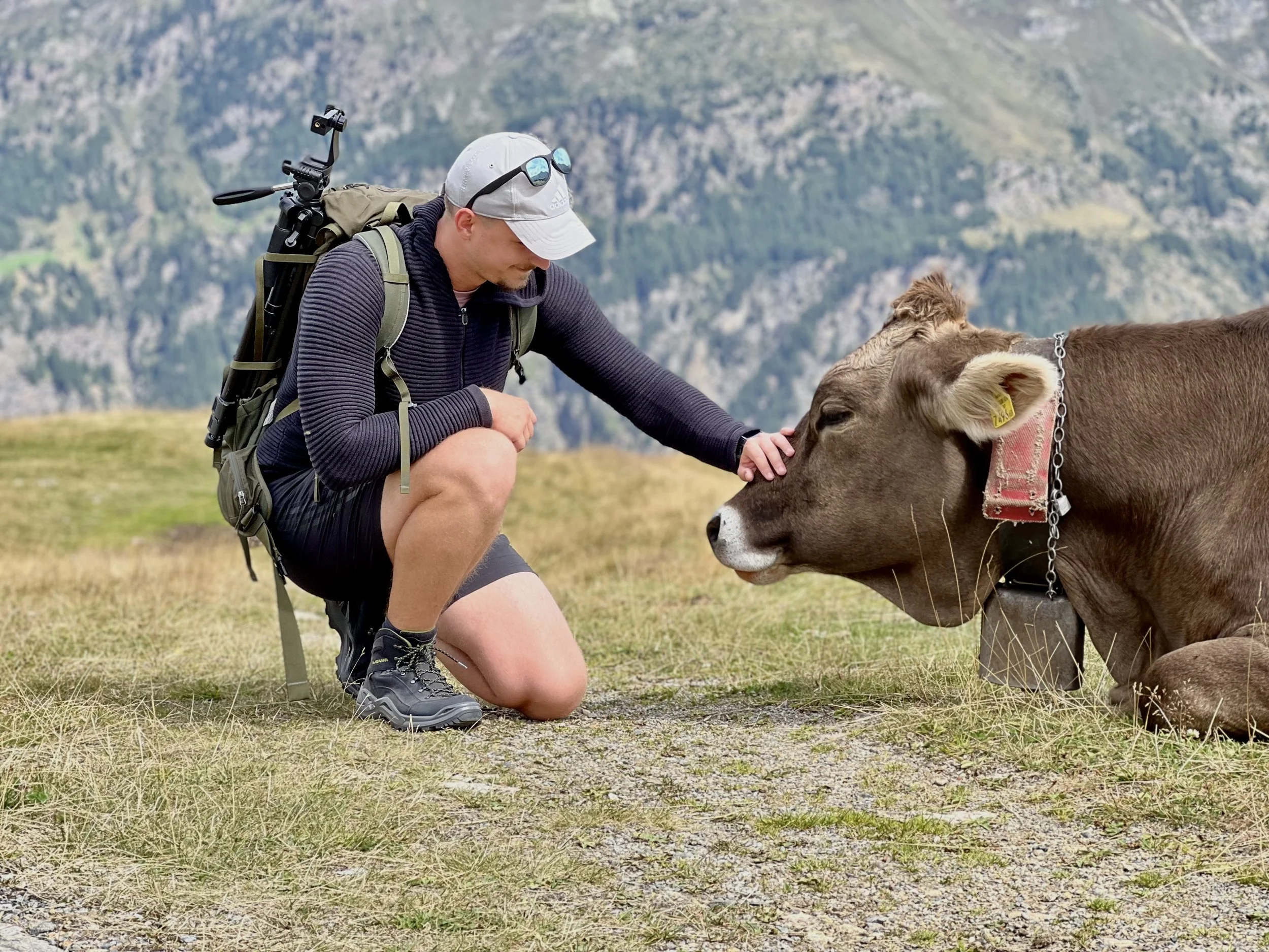 Oleg Kolechenko begegnet beim Wandern in den Alpen einem Rind und sammelt Eindrücke für seine naturinspirierte Malerei.