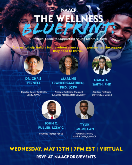 The Wellness Blueprint: A Practical Guide to Supporting Youth Mental Health