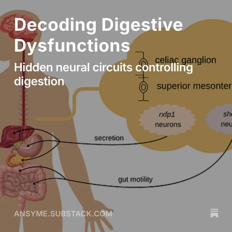 Decoding Digestive Dysfunctions