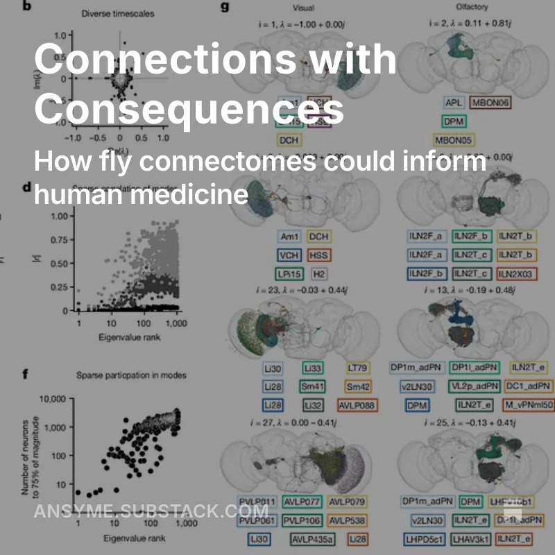 Connections with Consequences (reprint)