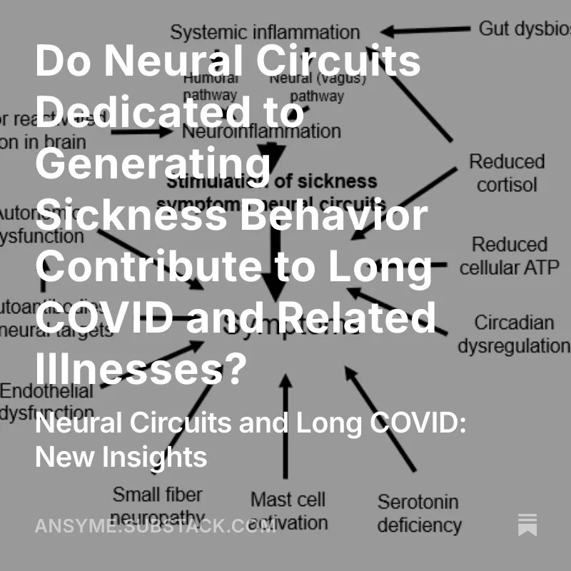 Do Neural Circuits Dedicated to Generating Sickness Behavior Contribute to Long COVID and Related Illnesses?