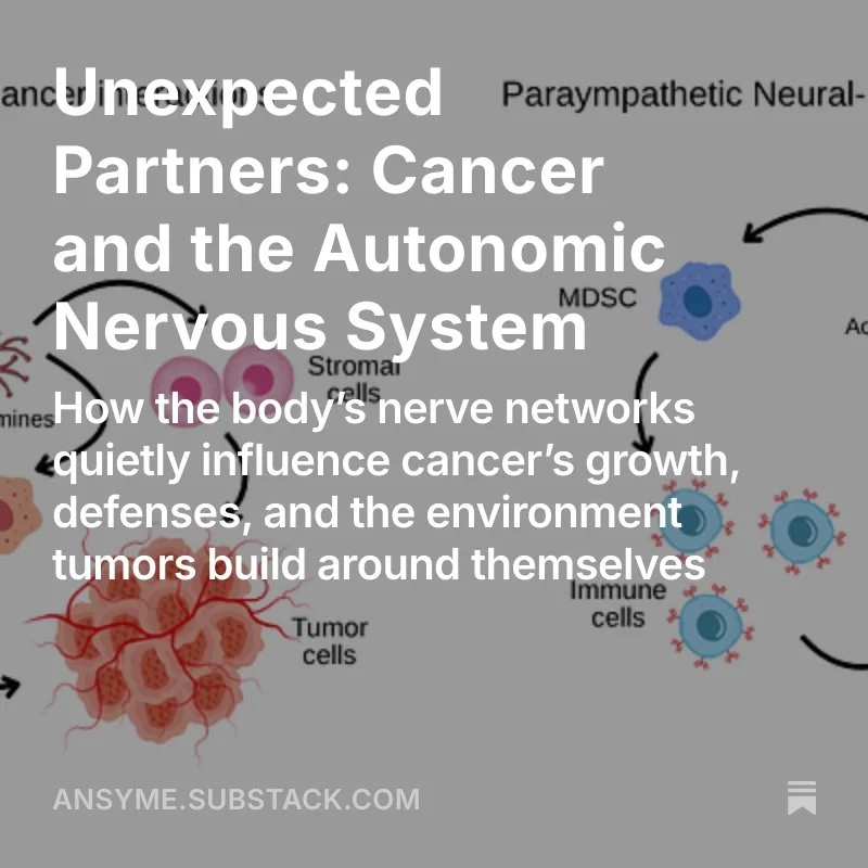 Unexpected Partners: Cancer and the Autonomic Nervous System