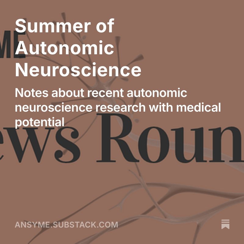 Summer of Autonomic Neuroscience